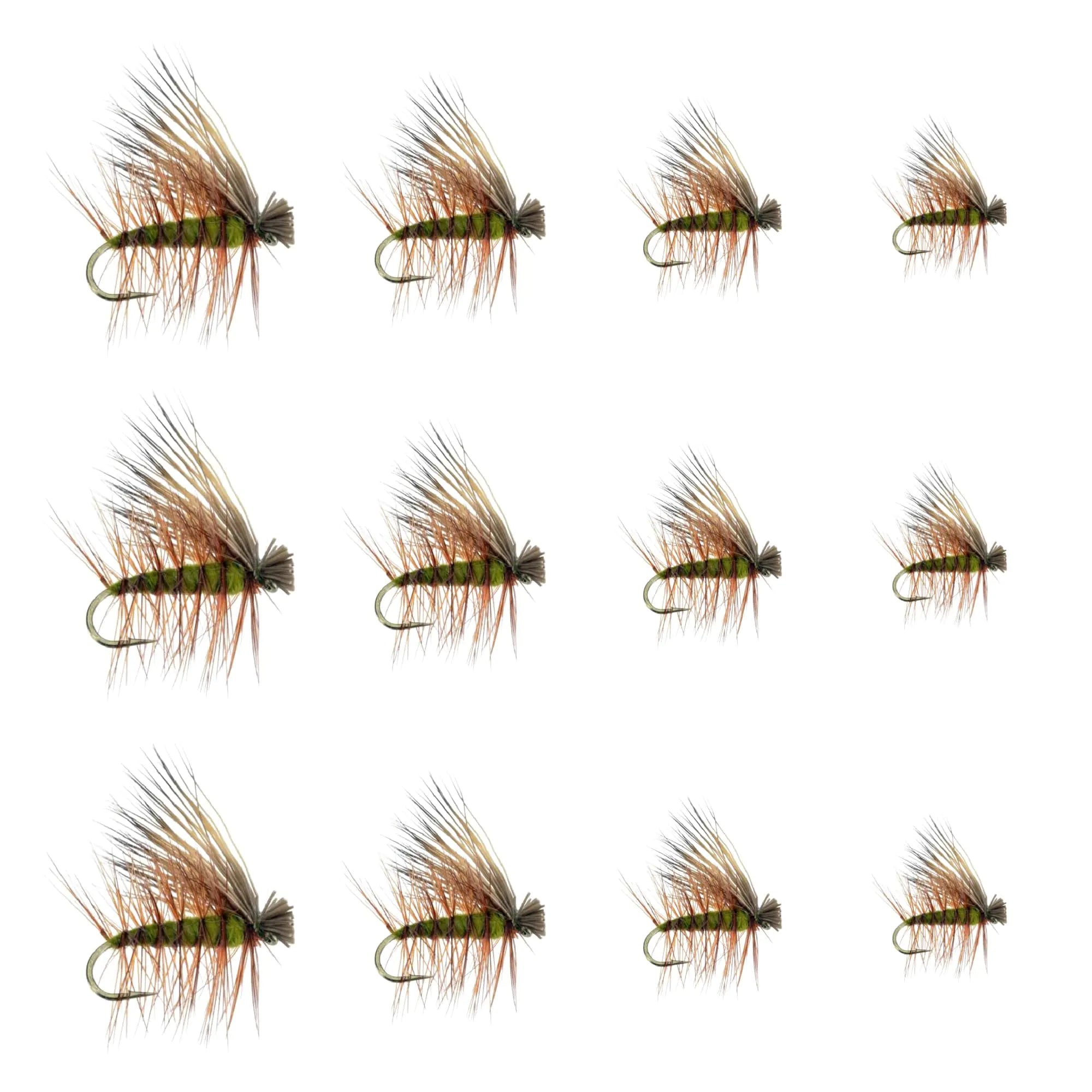 Feeder Creek Premium Elk Hair Caddis Flies | 12pc Fly Fishing Flies in 4 Sizes | Fly Fishing Assortment | Caddis Flies | Trout Flies | Dry Flies (Olive)