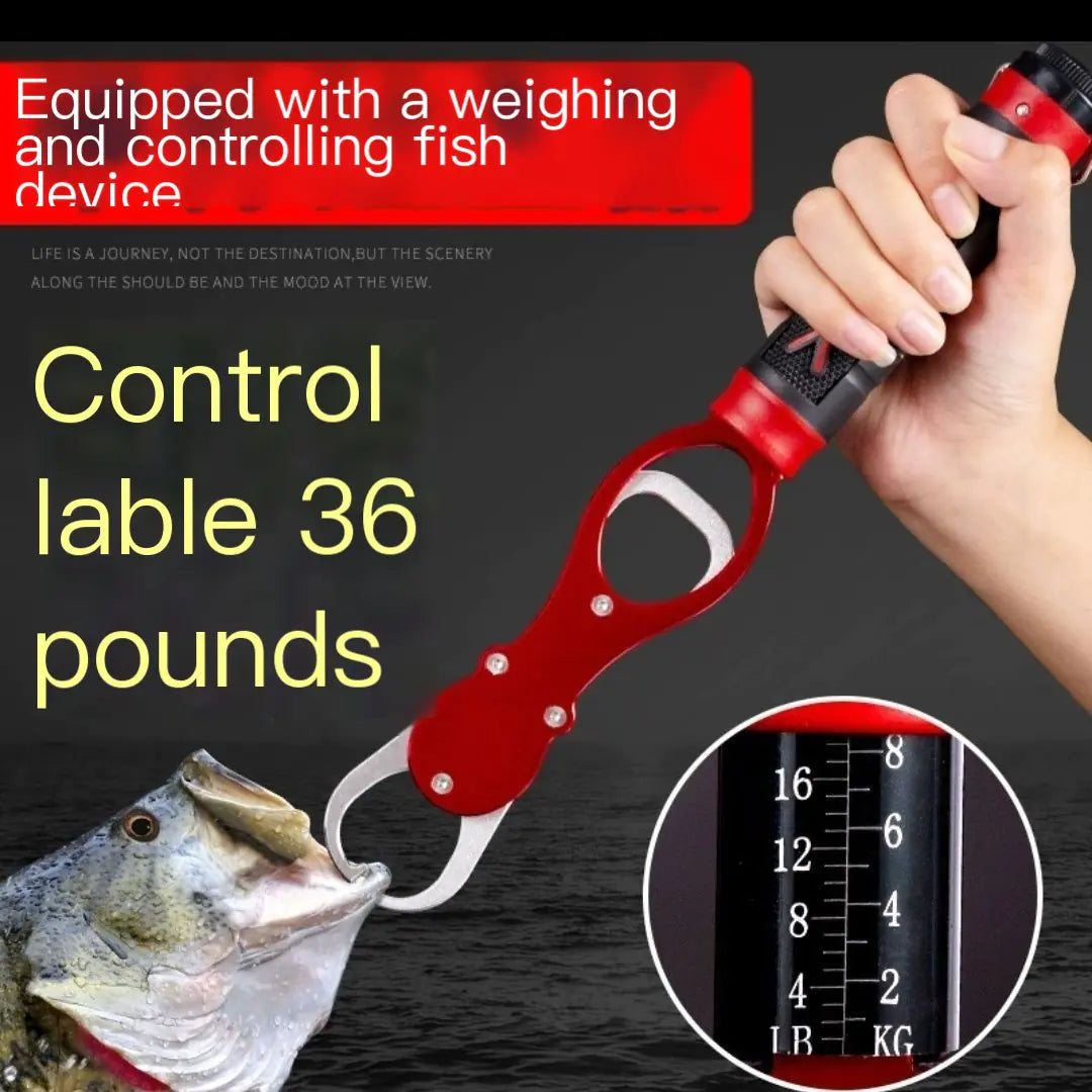 Multi-functional Fishing Tackle with Scale and Grip Tool
