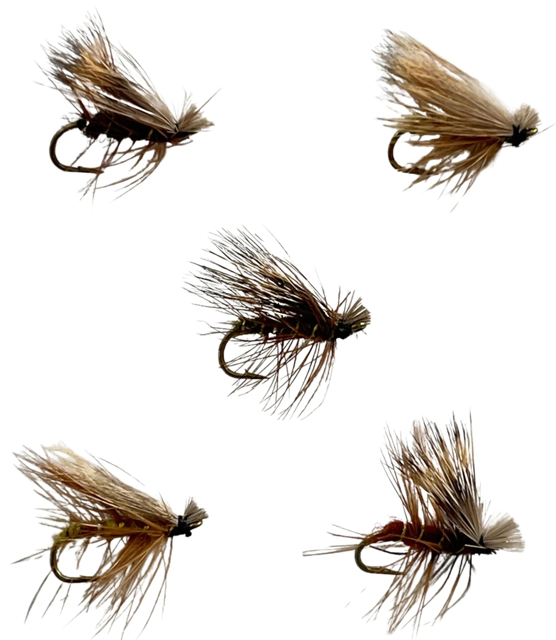 Feeder Creek 30pc Elk Hair Caddis Fly Fishing Flies Premium Fly Fishing Dry Flies with Fly Box in 5 Colors and 3 Sizes Trout Flies | Trout Fly Assortment