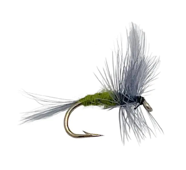 Feeder Creek Fly Fishing Flies Blue Wing Olive Parachute Flies for Fly Fishing | Trout Flies | Bass Flies | Dry Flies | Fly Fishing Assortment | Fly Fishing Kit (BWO Size 18-12pc)